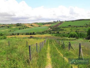 dursunkoy_107_ada_5_parsel_resim_0_24 (1).JPG